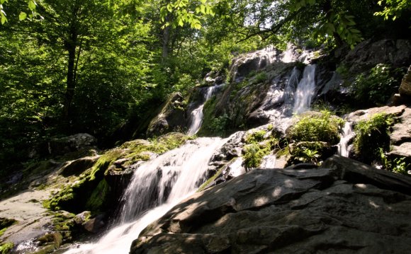 Dark Hollow Falls in