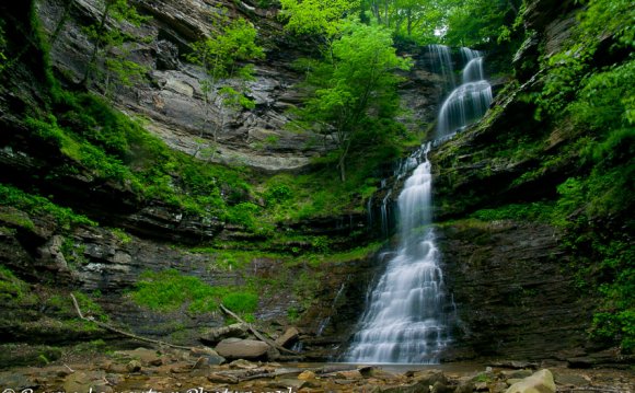 Cathedral Falls, along Route