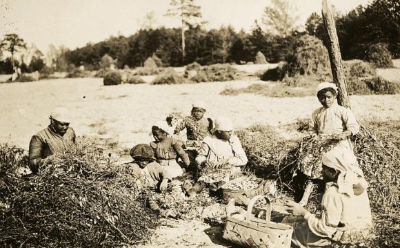 Rural Life in Virginia