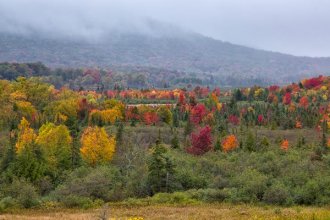 Canaan Valley Fall Colors