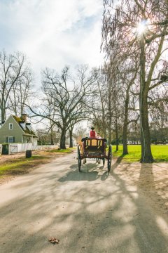 Colonial Williamsburg - The international Escape-7