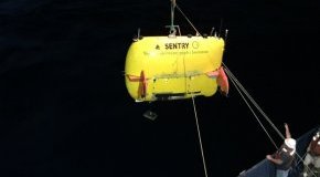 publish of autonomous underwater automobile Sentry from analysis vessel Atlantis.