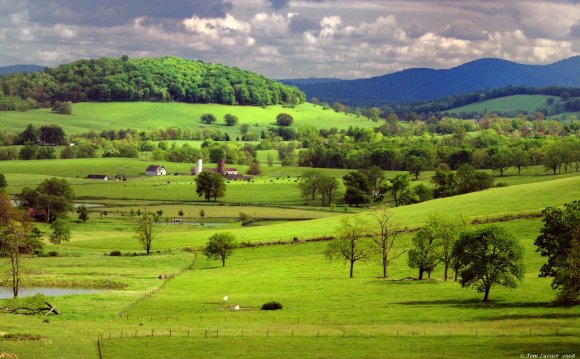 Virginia View