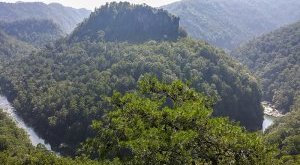 Russell Fork River cuts through Breaks Interstate Park