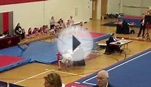 Logan West Virginia Gymnastics Level 3 all around State