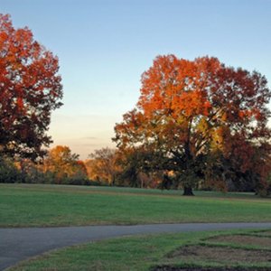 Virginia's unique location and climate are excellent for developing wine grapes.